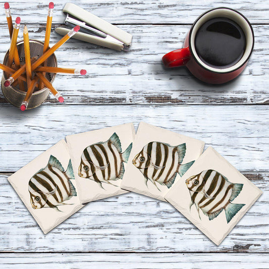 Zebrafish |Drink Coaster