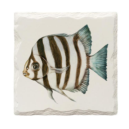 Zebrafish |Drink Coaster