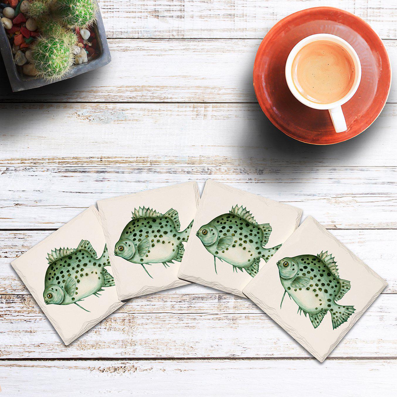 Humpback Grouper Fish |Drink Coaster