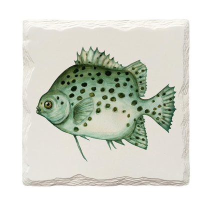 Humpback Grouper Fish |Drink Coaster