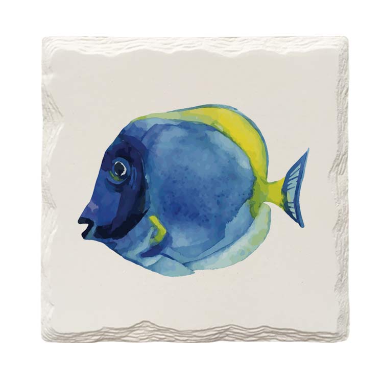 Blue Tang Fish |Drink Coaster