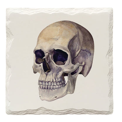 Halloween Watercolor Skull | Drink Coaster