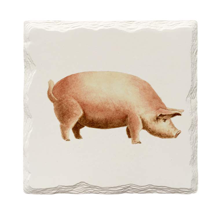 Farmhouse Pig | Drink Coaster