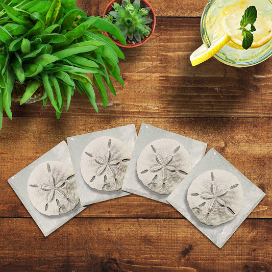 Sand Dollar | Drink Coaster