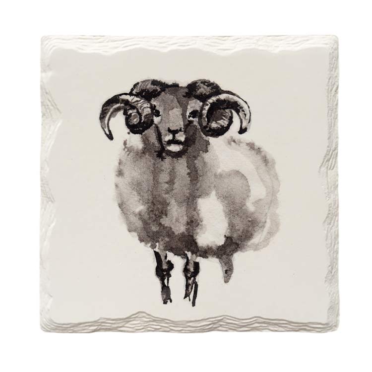 Watercolor Sheep | Drink Coaster