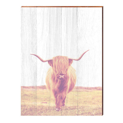 Bohemian Hairy Steer Cow | Wall Art Print on Real Wood