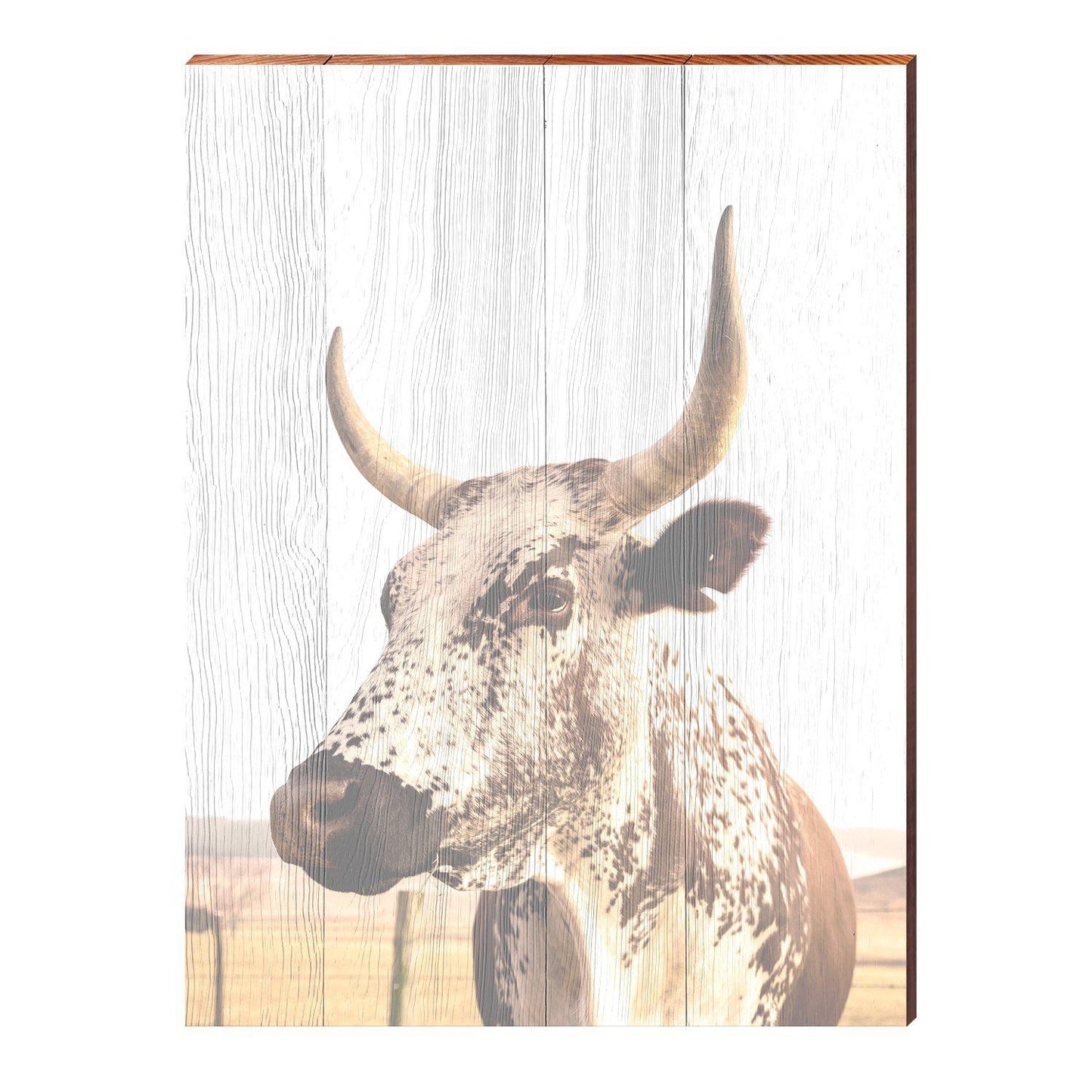 Bohemian Steer Cow | Wall Art Print on Real Wood