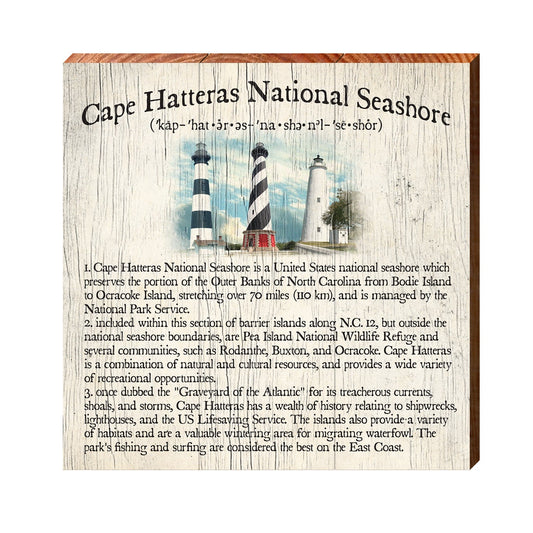 Cape Hatteras National Seashore | Real Art Print on Wood