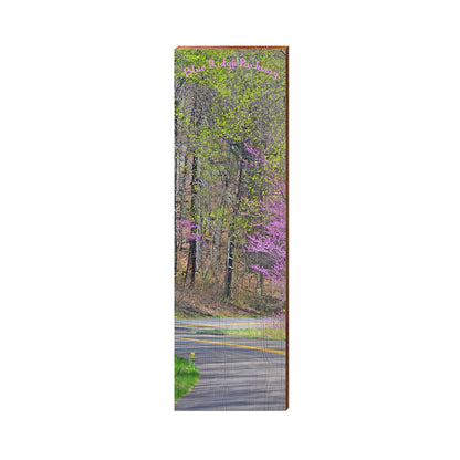 Blue Ridge Parkway Road Sign | Real Art Print on Wood