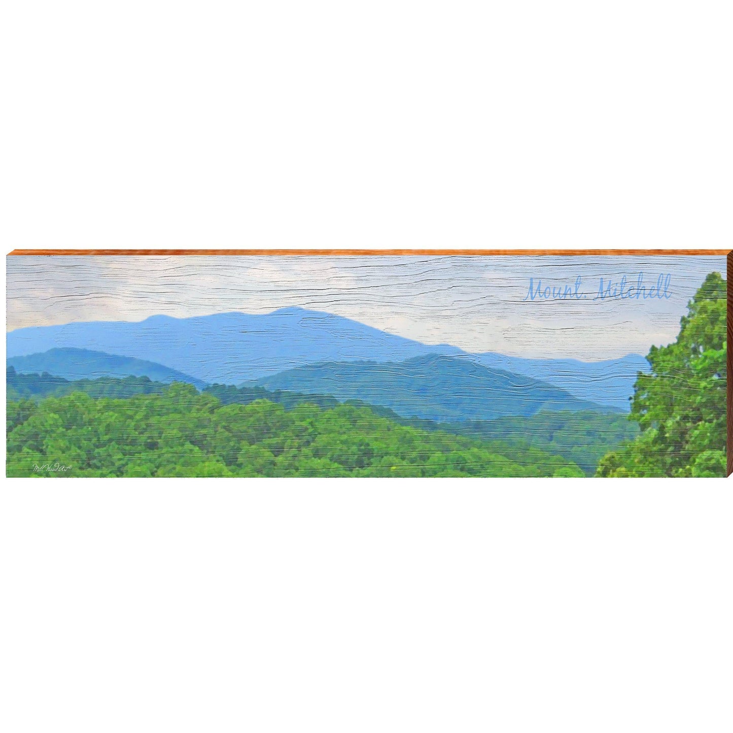 Mount Mitchell | Wall Art Print on Real Wood
