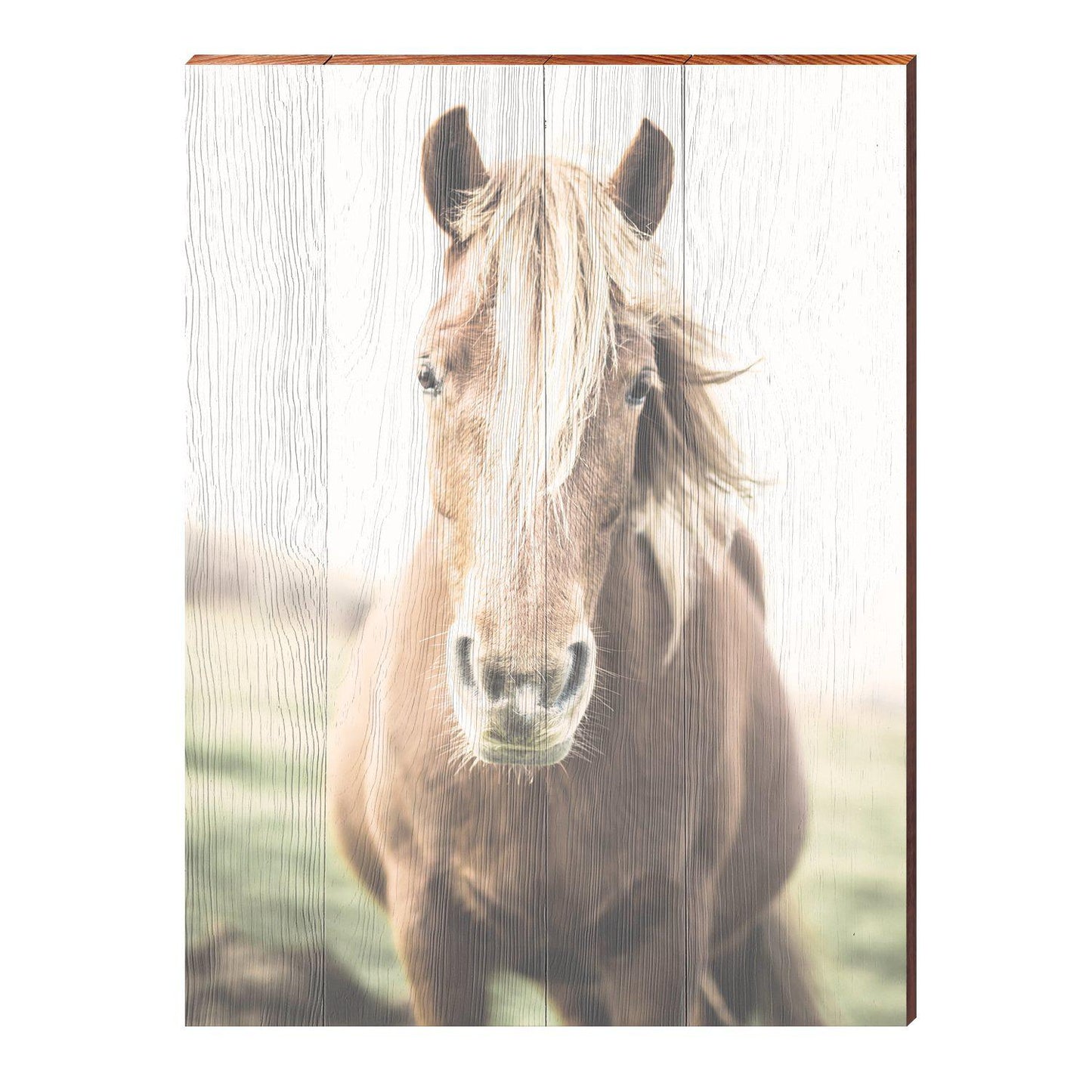 Bohemian Horse | Wall Art Print on Real Wood