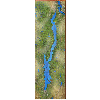 Lake George Satellite Map   | Wall Art Print on Real Wood