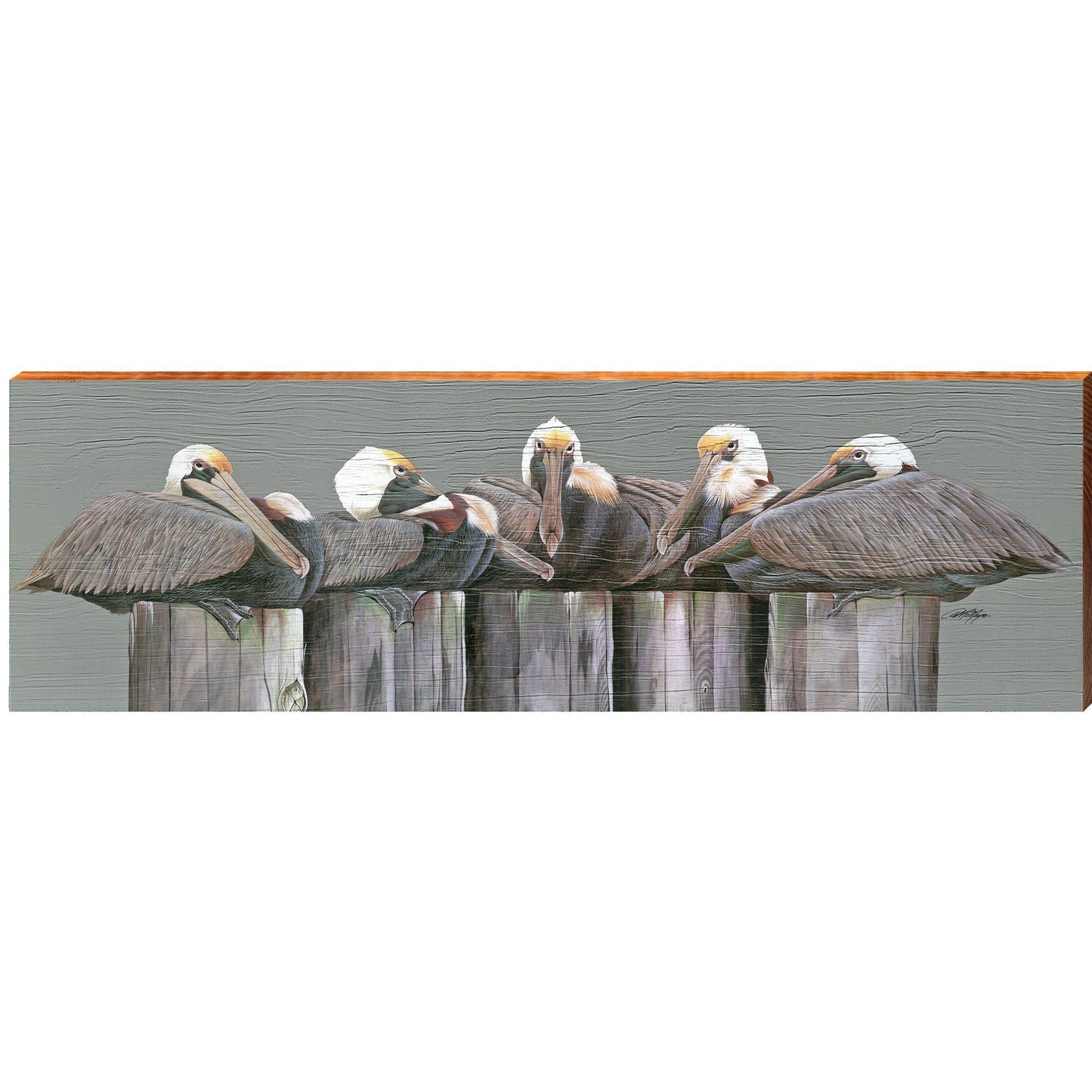 Art Lamay | Pelicans on Dock | Wall Art Print on Real Wood