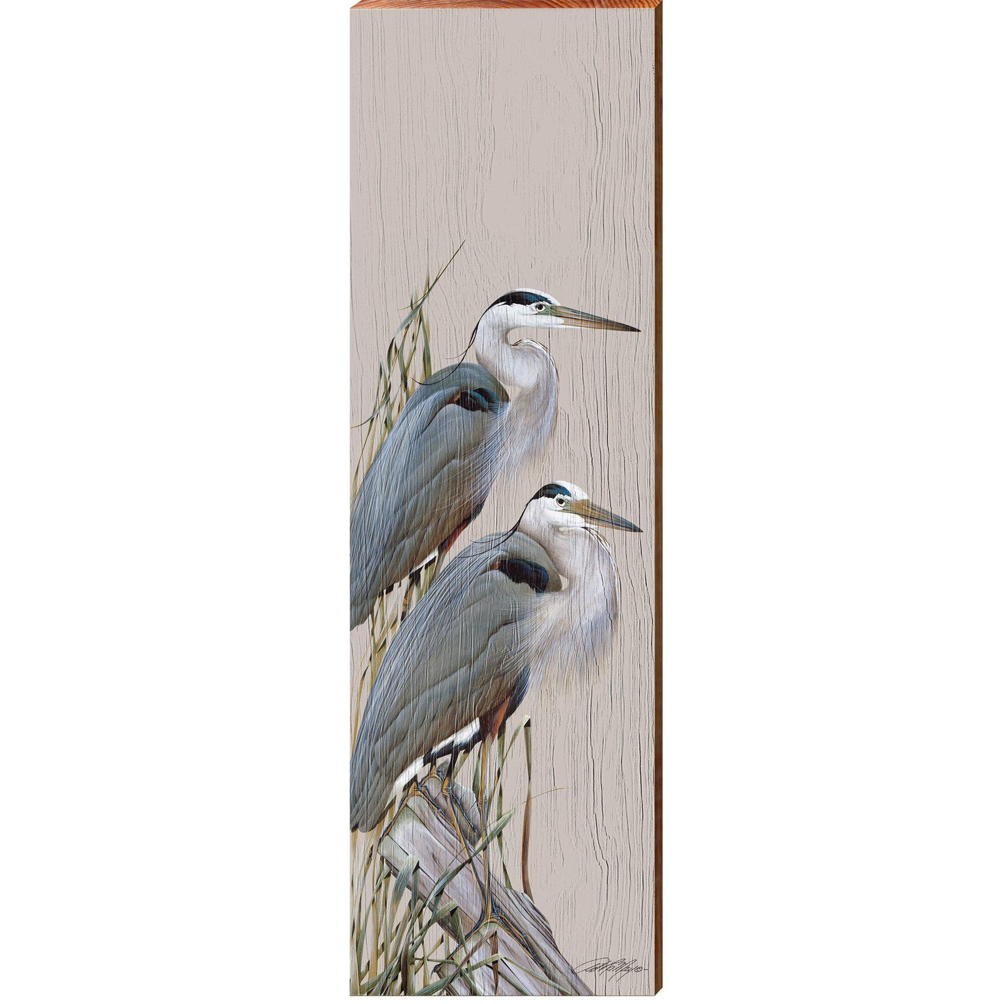 Art Lamay | Blue Herons | Wall Art Print on Real Wood