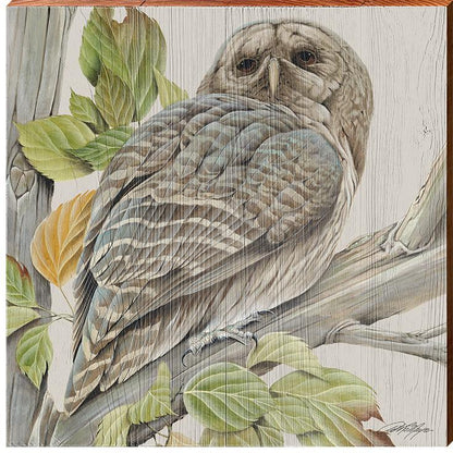 Art Lamay | Owl | Wall Art Print on Real Wood