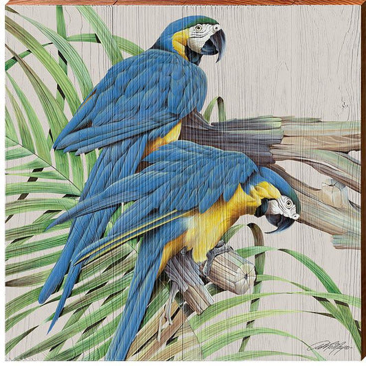 Art Lamay | Blue Parrots | Wall Art Print on Real Wood