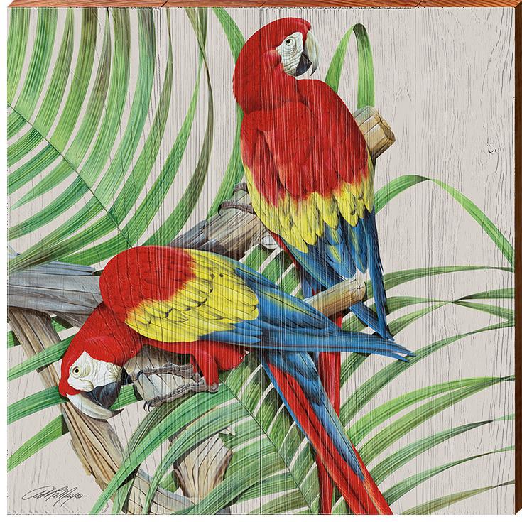 Art Lamay | Red Parrots | Wall Art Print on Real Wood