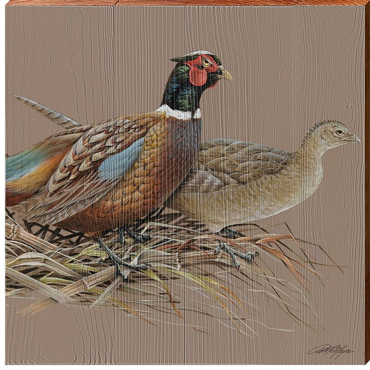 Art Lamay | Pheasant | Wall Art Print on Real Wood