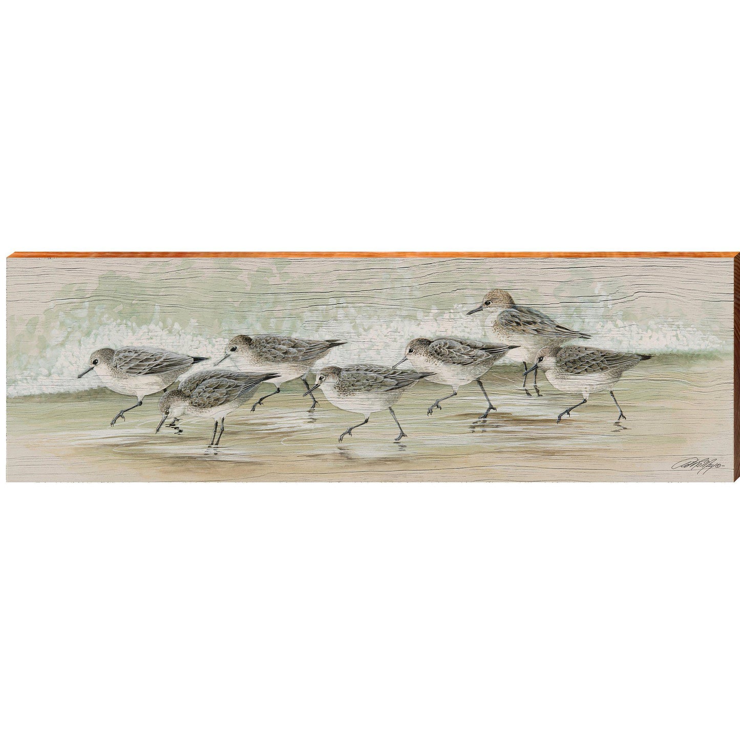 Art Lamay | Sandpipers on the Beach | Wall Art Print on Real Wood