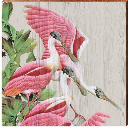 Art Lamay | Spoonbills Square | Wall Art Print on Real Wood