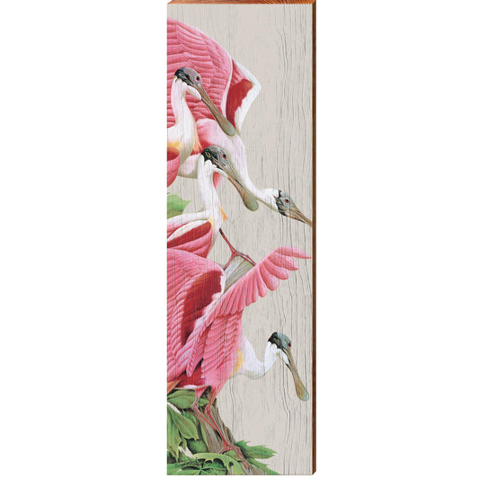 Art Lamay | Spoonbills | Wall Art Print on Real Wood