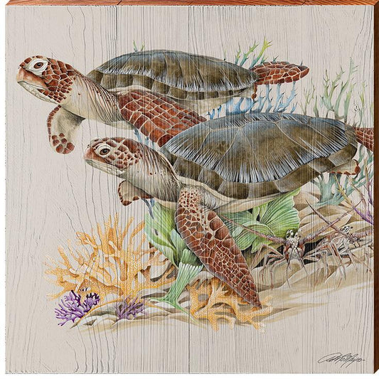 Art Lamay | Sea Turtles Swimming | Wall Art Print on Real Wood