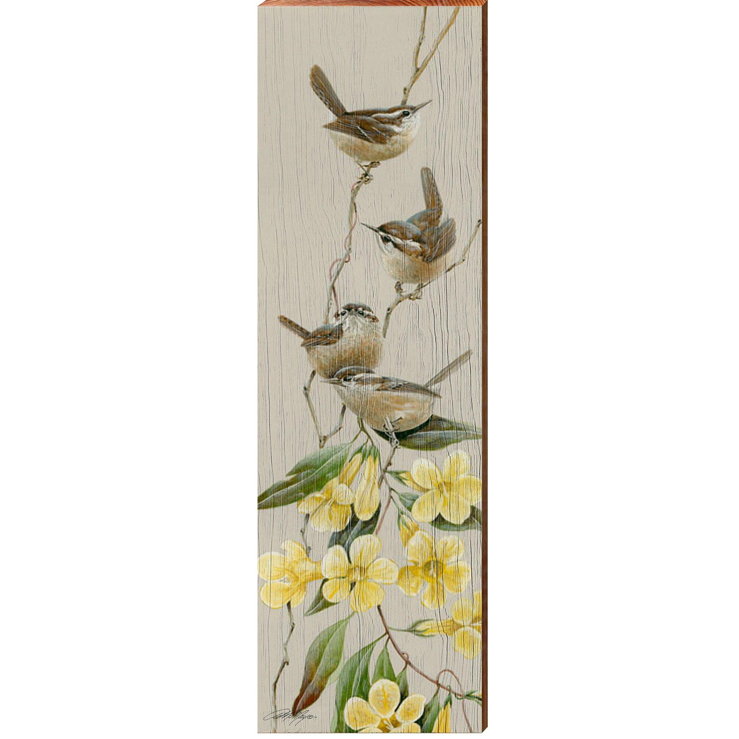 Art Lamay | Wren | Wall Art Print on Real Wood