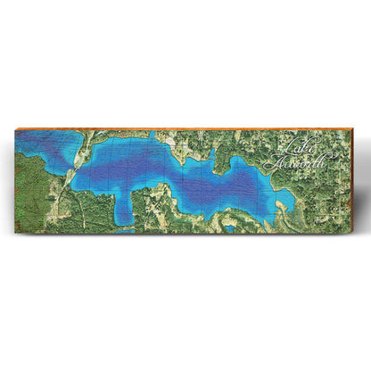 Lake Acworth, Georgia Satellite Styled Map Wall Art | Wall Art Print on Real Wood