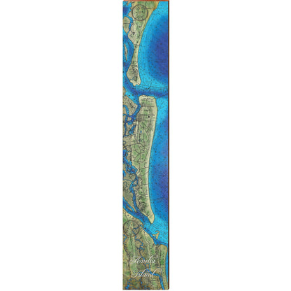 Amelia Island, Florida Topographical Styled Map Lage Wall Art | Wall Art Print on Real Wood