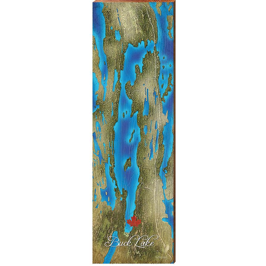 Buck Lake, Canada Satellite Map Wall Art | Wall Art Print on Real Wood