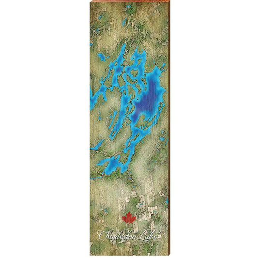 Charleston Lake, Canada Satellite Map Wall Art | Wall Art Print on Real Wood