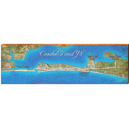 Coastal Road 98, Florida Satellite Styled Map Wall Art | Wall Art Print on Real Wood