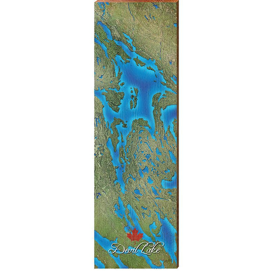 Devil Lake, Canada Satellite Map Wall Art | Wall Art Print on Real Wood