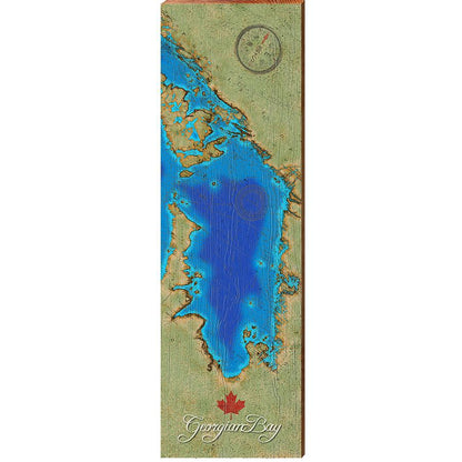 Georgian Bay, Canada Satellite Map Wall Art | Wall Art Print on Real Wood