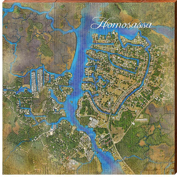 Homosassa, Florida Satellite Styled Map Wall Art | Wall Art Print on Real Wood