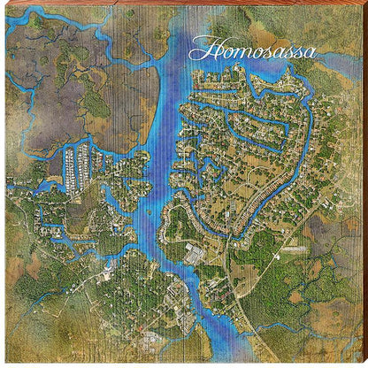 Homosassa, Florida Satellite Styled Map Wall Art | Wall Art Print on Real Wood