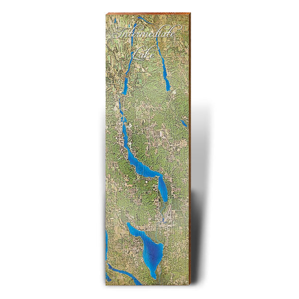 Intermediate Lake, Michigan Satellite Styled Map Wall Art | Wall Art Print on Real Wood