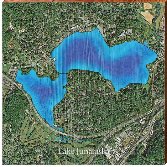 Lake Junaluska, North Carolina Satellite Map | Wall Art Print on Real Wood