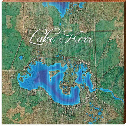 Lake Kerr, Florida Satellite Map | Wall Art Print on Real Wood