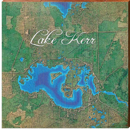 Lake Kerr, Florida Satellite Map | Wall Art Print on Real Wood
