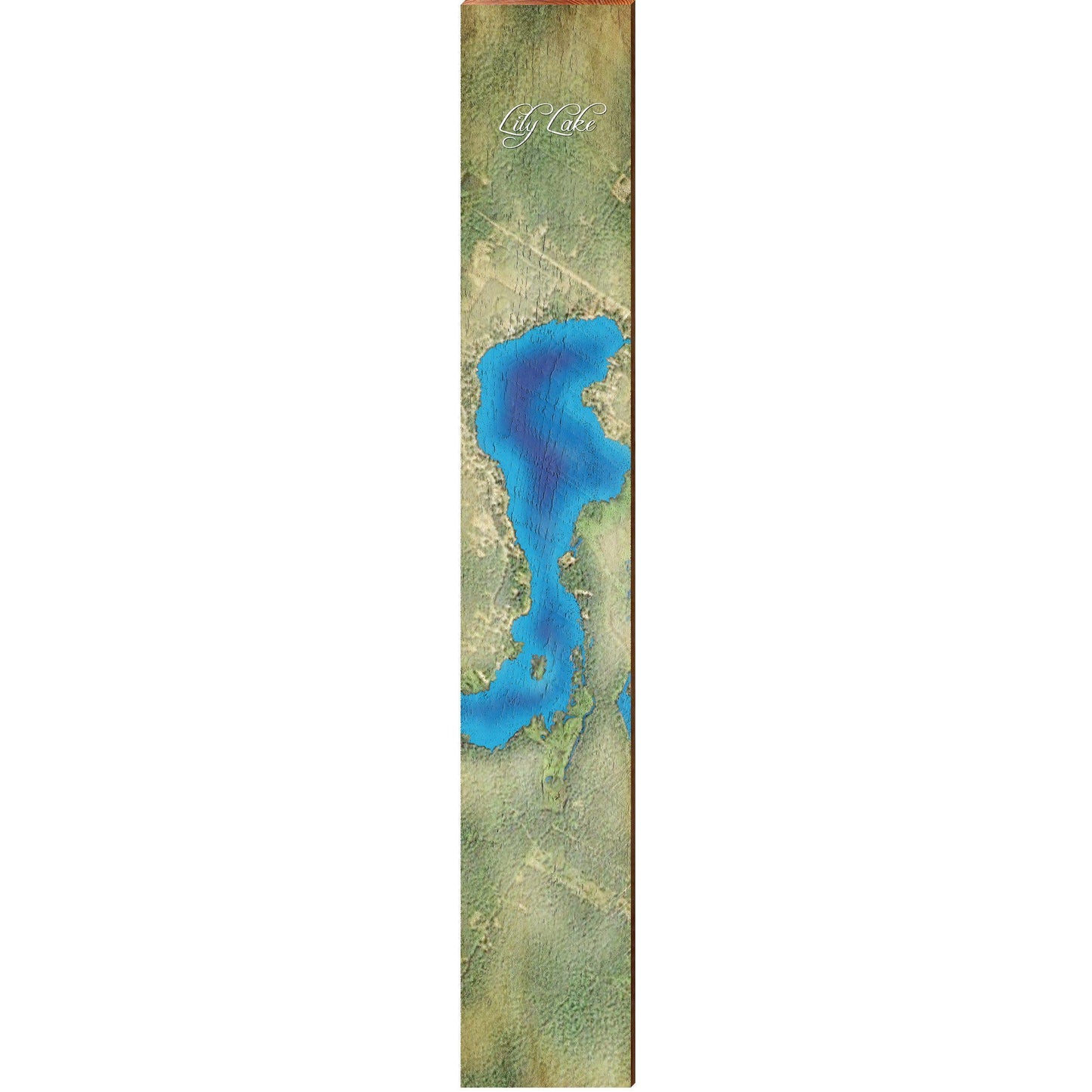 Lily Lake, Michigan Map | Wall Art Print on Real Wood