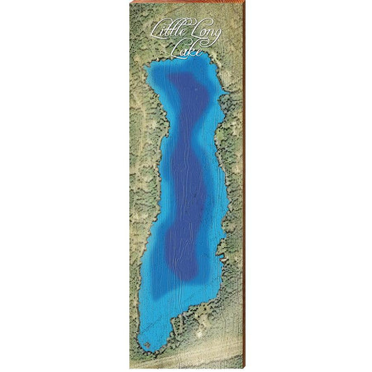 Little Long Lake, Michigan Satellite Map | Wall Art Print on Real Wood