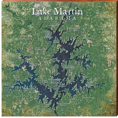 Lake Martin, Alabama Satellite Map | Wall Art Print on Real Wood