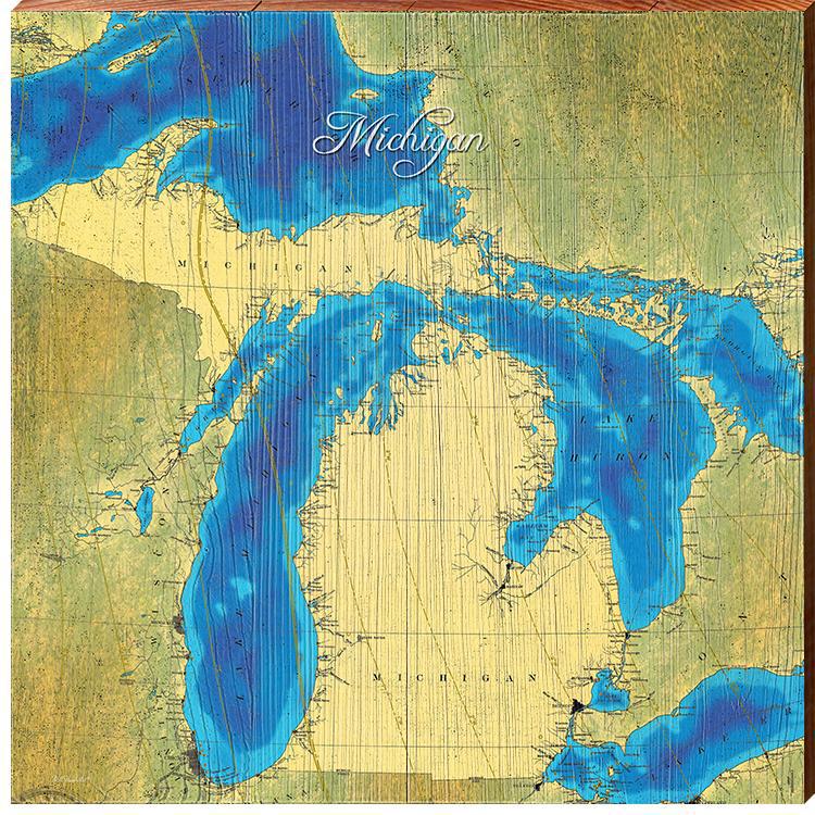 State Of Michigan Topographical Styled Map Wall Art | Wall Art Print on Real Wood