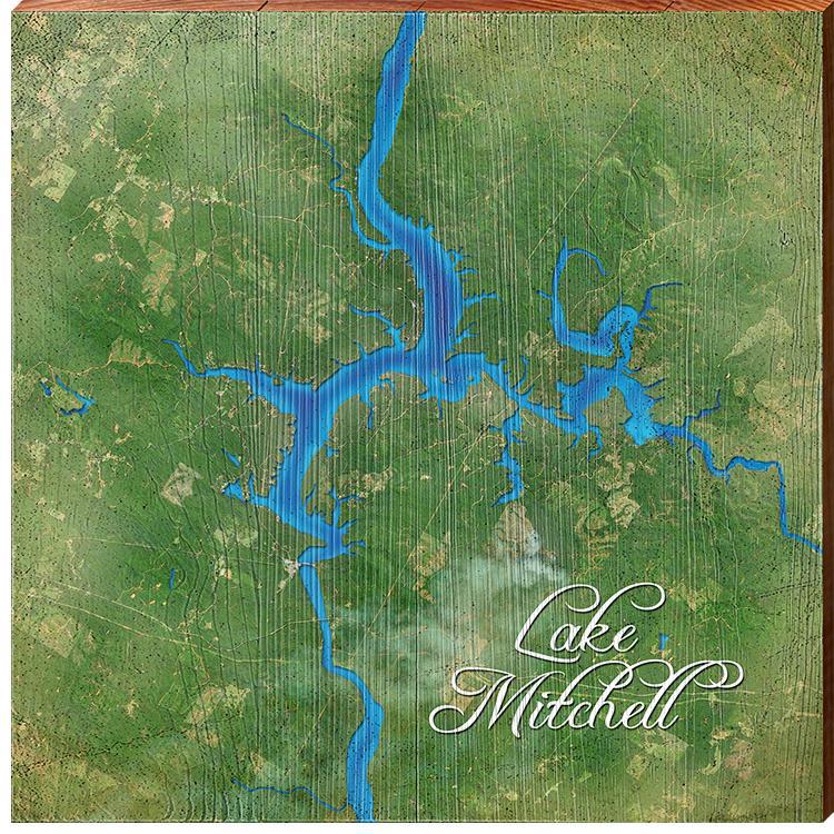 Mitchell Lake, Alabama Satellite Map | Wall Art Print on Real Wood