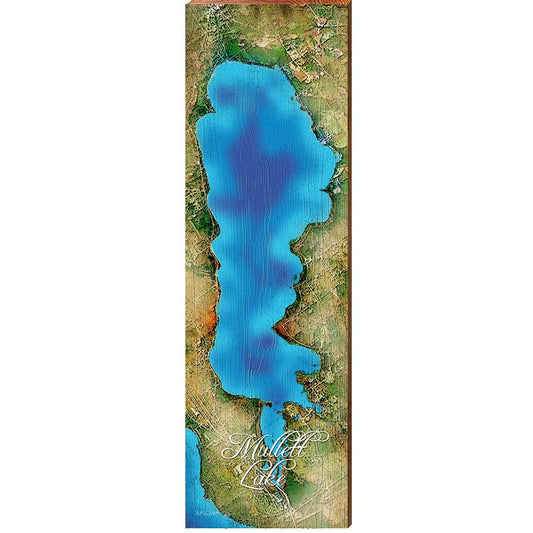 Mullett Lake Map Home Decor Art Print on Real Wood