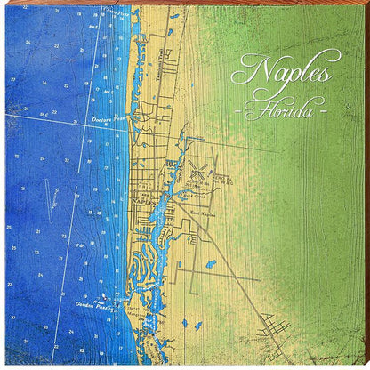 Naples, Florida Topographical Styled Map Wall Art | Wall Art Print on Real Wood