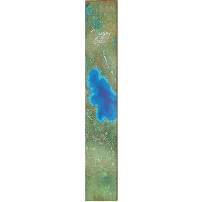 Ossipee Lake, New Hampshire Satellite Map | Wall Art Print on Real Wood