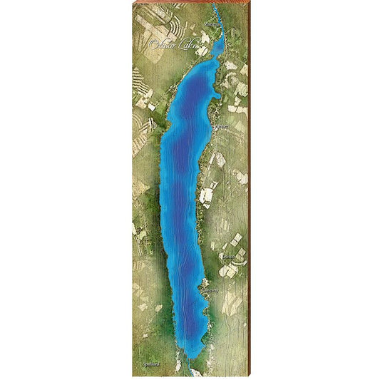 Otisco Lake Map Home Decor Art Print on Real Wood