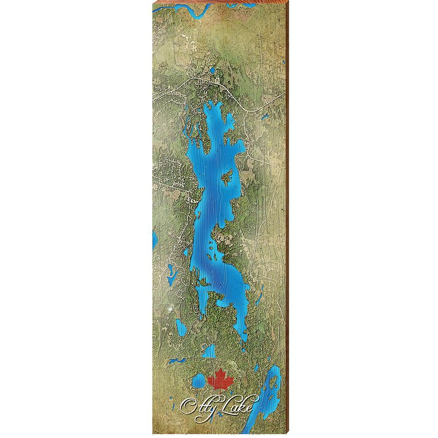 Otty Lake, Canada Satellite Map Wall Art | Wall Art Print on Real Wood